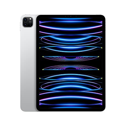 iPad Pro 11″ 2022 512Gb Argento